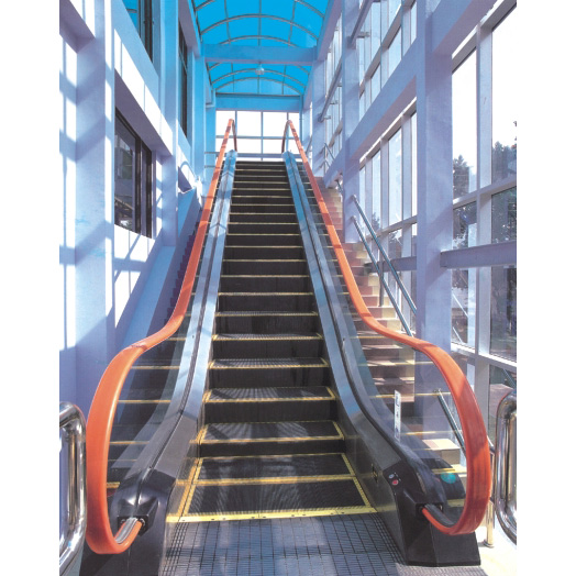 DEEOO自動扶梯-6